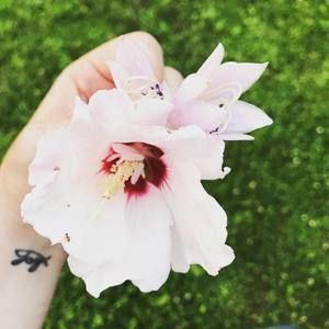 Meet your Posher, Brittany